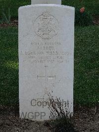 Salonika (Lembet Road) Military Cemetery - Warburton, Arthur John Egerton